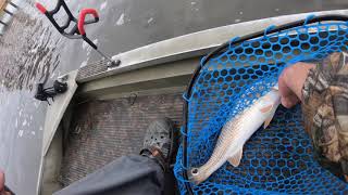 Catching redfish at Sneads Ferry North Carolina [upl. by Nohs646]