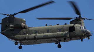 RAF Chinook Helicopter Low Level Air Show Display RAF Fairford  RIAT 2022 4k [upl. by Atinad]