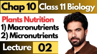 Plants Nutrition in pashto  Micronutrients amp macronutrients  11th bio chap 10  Lecture 02 [upl. by Subocaj643]