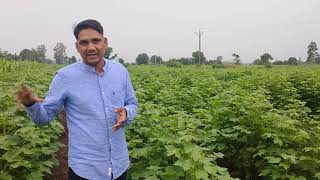 AgritechIndiaorganic wellsunFarmerfertilizer Organic Farming  Organicfarmer [upl. by Kaylil]