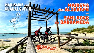 MAIRENA del ALJARAFE  SANLÚCAR de BARRAMEDA · Ruta por las Marismas del Guadalquivir 🦩🌿 [upl. by Anyr]