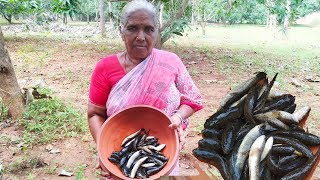 Matta Gudisa Special Fish Recipe village style Spotted Snakehead Fish curry prepared by grandma [upl. by Sirrot]