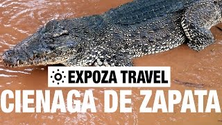 Cienaga De Zapata Vacation Travel Video Guide [upl. by Lessard]