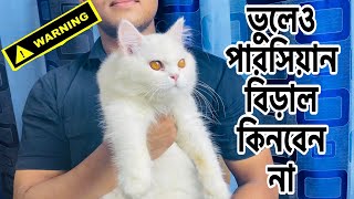 Don’t Buy A Persian Cat Before Watching This  Persian Cat Fraud Market  Katabon Pet Market  Kitty [upl. by Llenwad632]