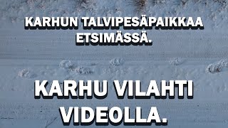 KARHU VILAHTI VIDEOLLA Karhun talvipesäpaikkaa etsimässä II [upl. by Anilec]