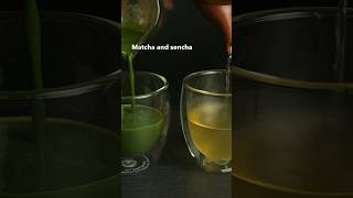 Whats The Difference Between Sencha and Matcha sencha [upl. by Leahcym923]