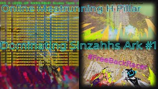 Online Meatrunning H Pillar  Wiping Caves SinzaahsLordsKnightsDediruin [upl. by Llertram]