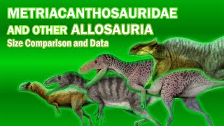 METRICANTHOSAURIDAE AND OTHER ALLOSAURIA  Dinosaurs Size Comparison and Data [upl. by Grethel]