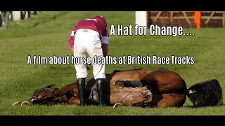 RACEHORSE DEATHS  A HAT FOR CHANGE  ROYAL ASCOT 2016  PART 1 [upl. by Annaiv]