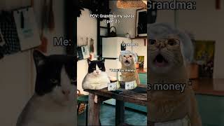 Grandma my savior part 2 catmemes grandma funnycats [upl. by Hanson960]