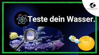 Die 5 wichtigsten Wassertests für dein MeerwasserAquarium [upl. by Bright]