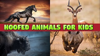 HOOFED ANIMALS  NAMES AND SOUNDS LEARNING FOR KIDS [upl. by Erehs]