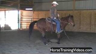 Horse Training  Spin Critique pt1 [upl. by Eba]