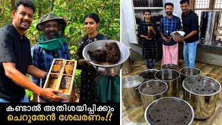 കണ്ടാൽ അതിശയിപ്പിക്കും ചെറുതേൻ ശേഖരണം ചെറു തേനീച്ചകളോട് തോന്നിയ പ്രണയം ജീവിത മാർഗമായപ്പോൾ [upl. by Roswald]