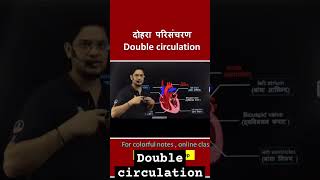 Double Circulation doublecirculation circulatorysystem circulatorysystem biology ytshorts [upl. by Shelia]