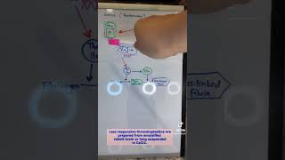 Prothrombin Time Extrinsic Coagulation Pathway medtech medtechstudent foryou coagulation fypシ゚ [upl. by Kenta96]