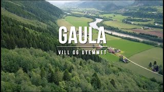 Gaula Intro Salmon Fishing [upl. by Aistek]