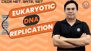 DNA REPLICATION IN EUKARYOTES  EUKARYOTIC REPLICATION AND IT’S REGULATION  CSIR NET LIFE SCIENCE [upl. by Ayoj]