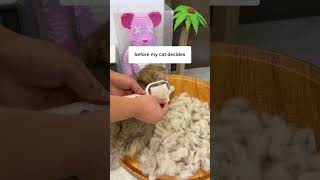 This Trick Makes Brushing Cat Easier 🙀 [upl. by Astraea]