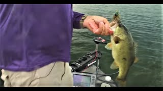 Summertime Bass Fishing Toledo Bend  Greg Hackney  Sportsman TV [upl. by Pugh]