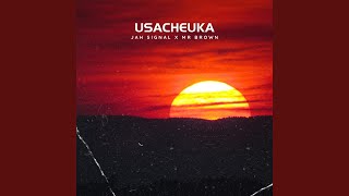 Usacheuka feat Mr Brown [upl. by Dnilasor]