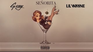 DJ Forgotten Mashup  Señorita ft GEazy Lil Wayne [upl. by Thema]