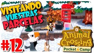 VISITANDO VUESTRAS PARCELAS 12 ANIMAL CROSSING POCKET CAMP PARA MÓVIL [upl. by Lonee]