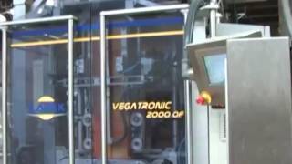 Ilapak VFFS Vegatronic 2000 OF and Weightronic WA 14 50 for pet food with quattr [upl. by Eimilb]