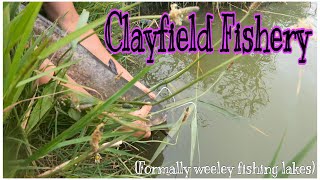 Catfish Clayfield Fishery Weeley [upl. by Wojak393]