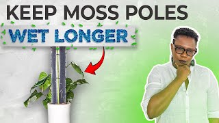 Ditch the Standard Moss Pole  Heres How I make My Pole Stay Moist [upl. by Ardeid]