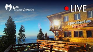 Julius Römer Hütte  Cabana Postavarul  🔴 Poiana Brasov Live Webcam Partia Lupului [upl. by Brittney]