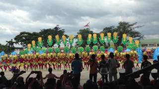 TSCHI  TANAUAN PASAKA 2016 CHAMPION [upl. by Gertruda]