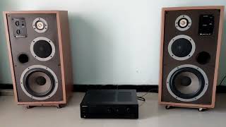 Celestion ditton 551 with Pioneer A445 amplifier brilliant sound and dynamic [upl. by Geof]