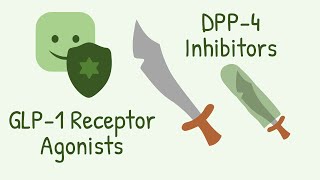 GLP 1 Receptor Agonists and DPP 4 Inhibitors Mechanism of Action [upl. by Allister]