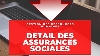 Détail des cotisations Assurance sociale [upl. by Eendyc]