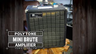 Polytone Mini Brute Amplifier  VGW [upl. by Chretien]