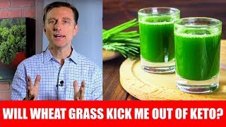 Will Wheatgrass Juice Powder Kick Me Out of Ketosis – Dr Berg [upl. by Akimahs914]