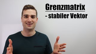 Stochastische Prozesse  Grenzmatrix Stabilitätsvektor  Fixvektor  Fit im MatheAbi [upl. by Adnorahs916]