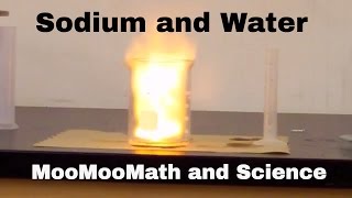 Sodium in water explosion Chemical Reaction [upl. by Algie]