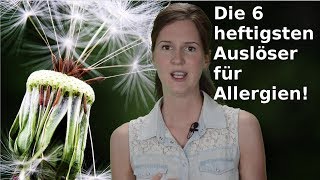 Allergien  Die 6 HEFTIGSTEN Auslöser [upl. by Chev]