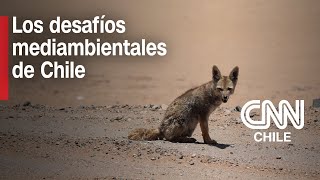 Impacto en el medio ambiente ¿Cuál es el rol de los consumidores y consumidoras [upl. by Ahtekal413]