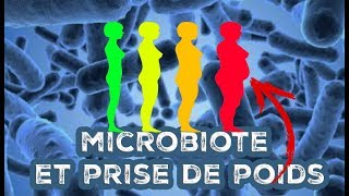 Comment votre MICROBIOTE INTESTINAL vous fait GROSSIR ou maigrir [upl. by Jabin]