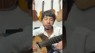 passaredo  francis hime e chico buarque guitar chicobuarque francishime mpb [upl. by Neehs]