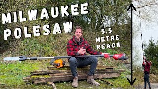 Milwaukee FTPS30 Pole Saw Review  The Best Pole Saw Ever [upl. by Anwahsak]