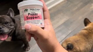 Supplements I recommend for your puppies  Matt’s Kennels  Puppy Whelping [upl. by Michigan]