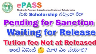 How to Check Scholarship Amount released or not at Released Pending for sanction Waiting for release [upl. by Wildon]