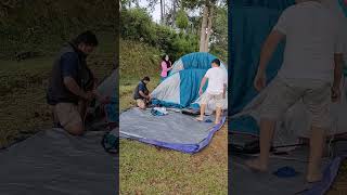 Bongkaran Tenda Quechua Arpenaz Family 42 shorts tenda camping [upl. by Natasha]