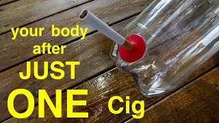 How Smoking Just 1 CIGARETTE Affects Your Lungs ● You Must See This [upl. by Bolling]