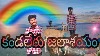 kandaleru jalasayam kandalerudam nellore rains deerpark vlog trendingshorts ilovenellore 1m [upl. by Lorsung994]