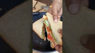 Veggie sandwich foodvlog food ytshorts sandwich viralvideo [upl. by Cheney838]